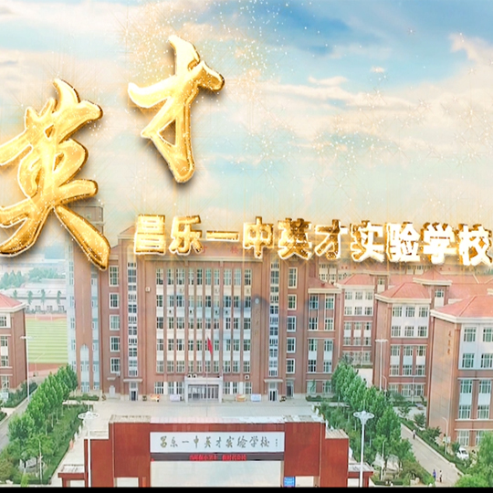 专题片