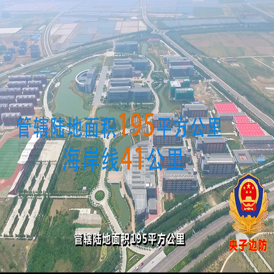 专题片