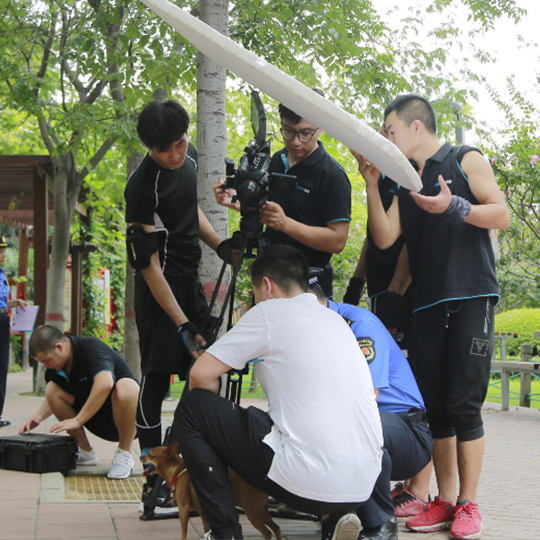活动策划